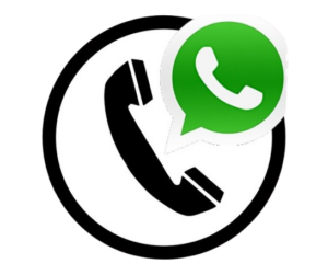 image removebg preview